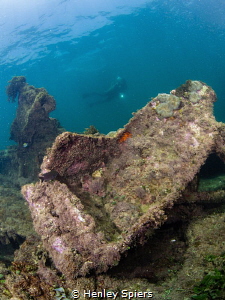 Discovering the wreckage of an old WWII American fighter ... by Henley Spiers 